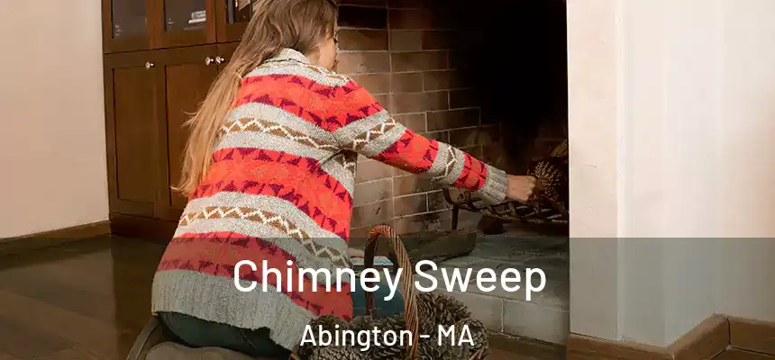 Chimney Sweep Abington - MA