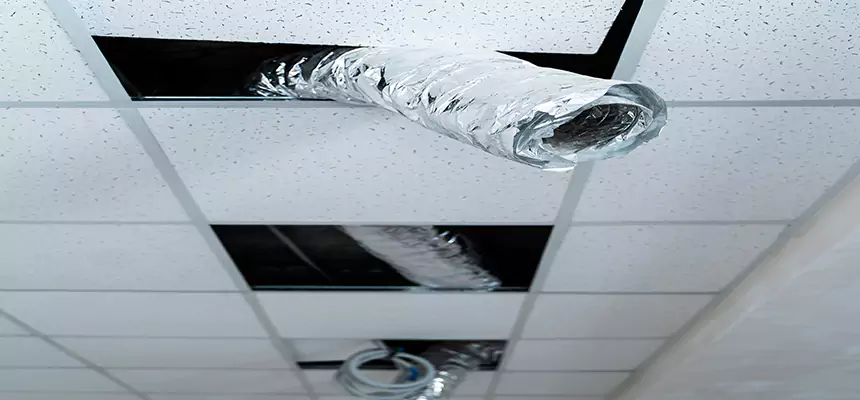 Affordable HVAC Sanitizing After Pest Removal in Abington