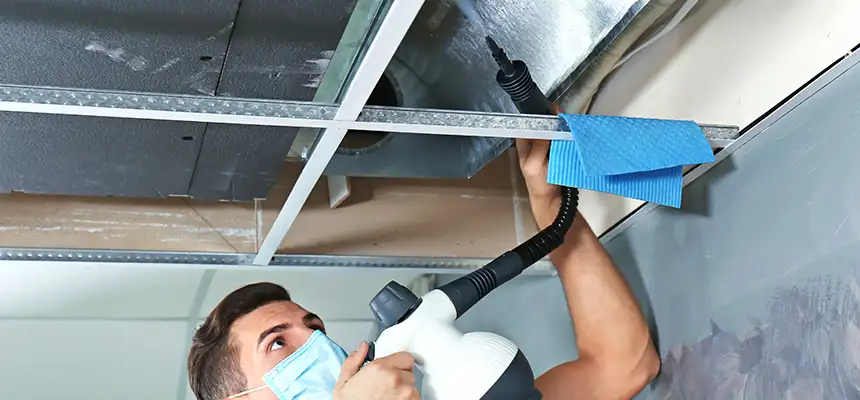 Our Air Duct Rodent Removal Services in Abington, MA
