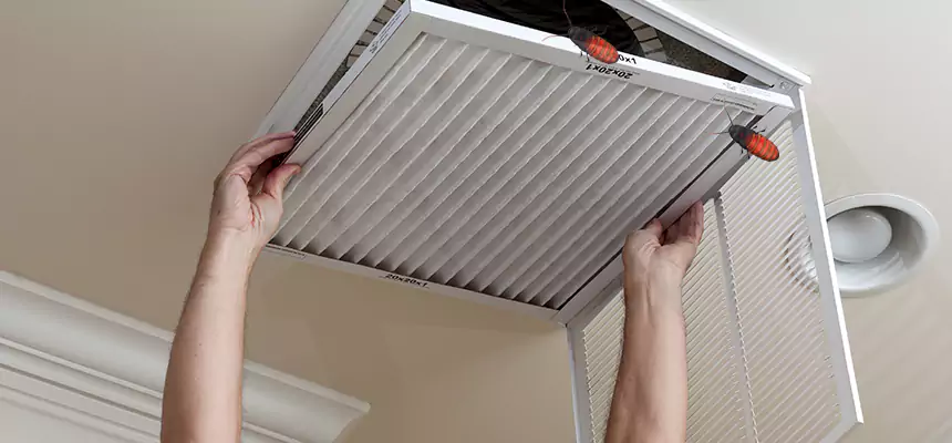 Our Insect Removal from Air Ducts Services in Abington, MA