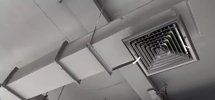 Our Rodent Droppings In Vents Services in Abington, MA