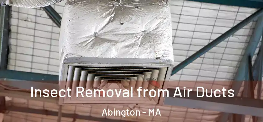 Insect Removal from Air Ducts Abington - MA