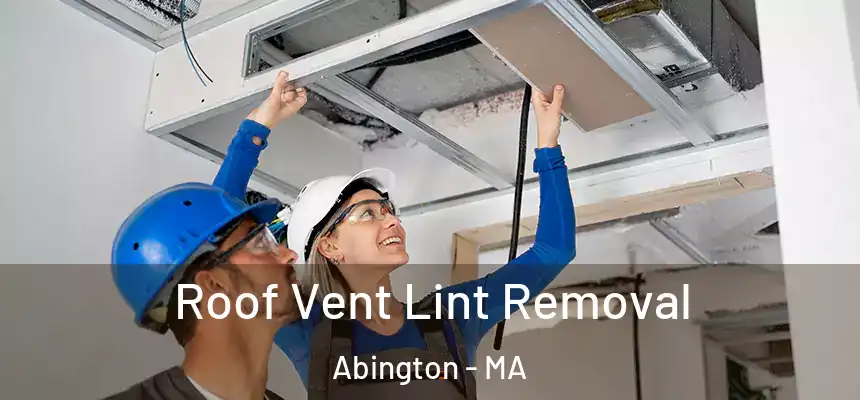 Roof Vent Lint Removal Abington - MA