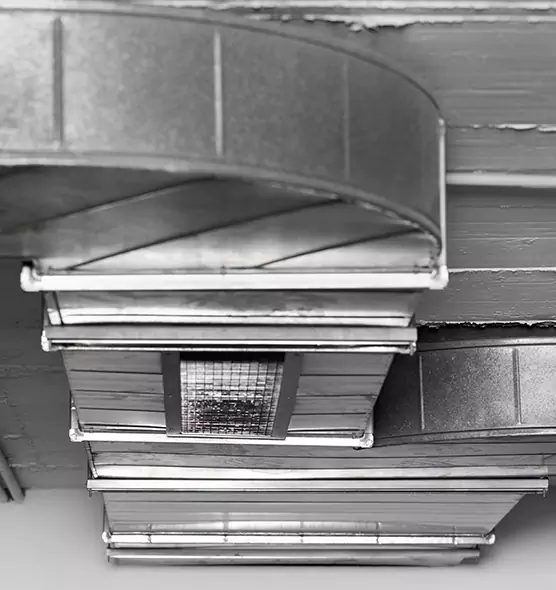 Professional Air Duct Pest Removal in Abington, MA