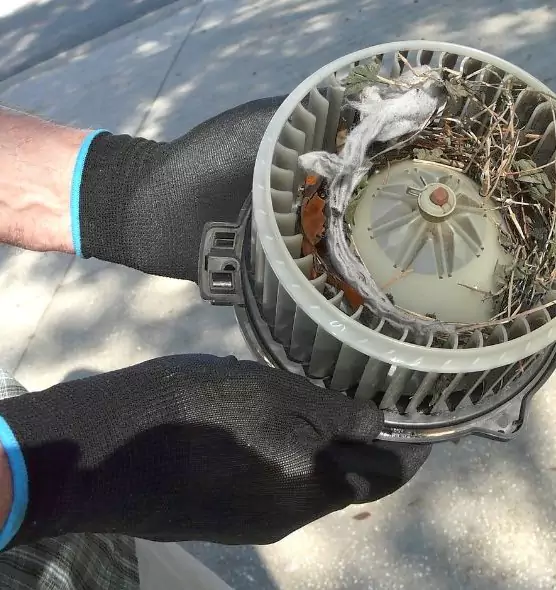 About Air Duct Rat Removal in Abington, MA