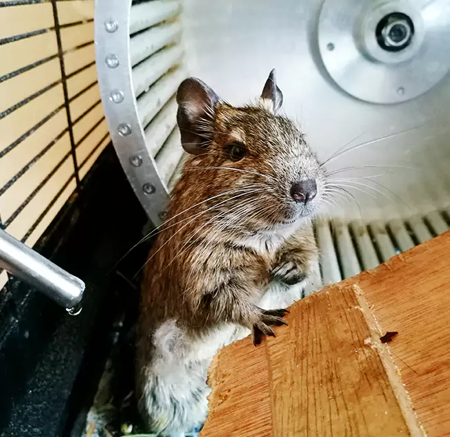 Why Homeowners & Businesses Trust Us Abington, MA