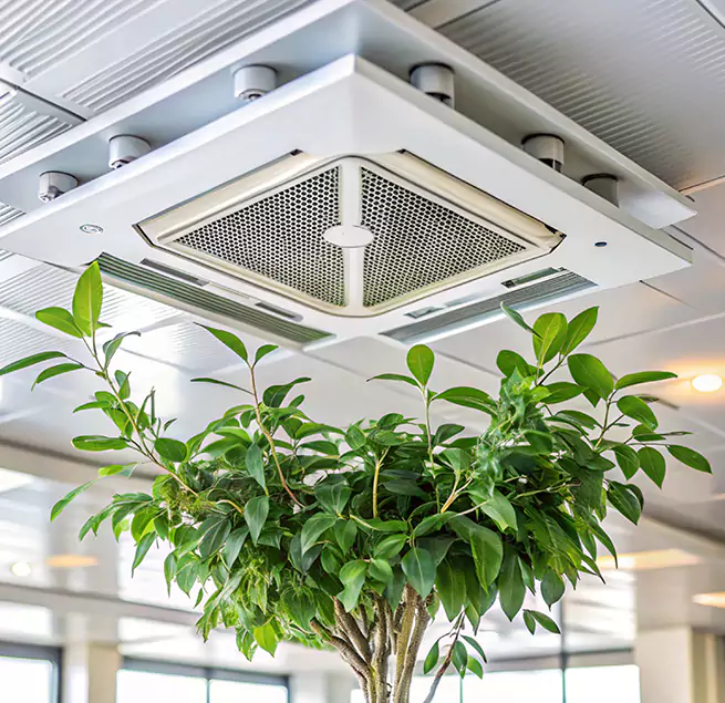 Why Homeowners & Businesses Trust Us in Abington, MA?