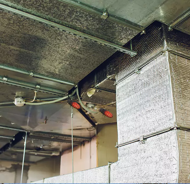 Why Homeowners & Businesses Trust Us Abington, MA?