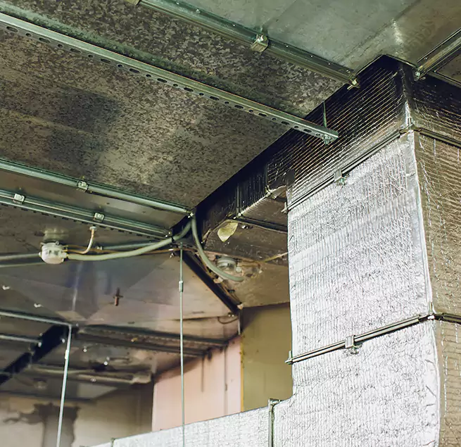 Why Homeowners & Businesses Trust Us in Abington, MA?